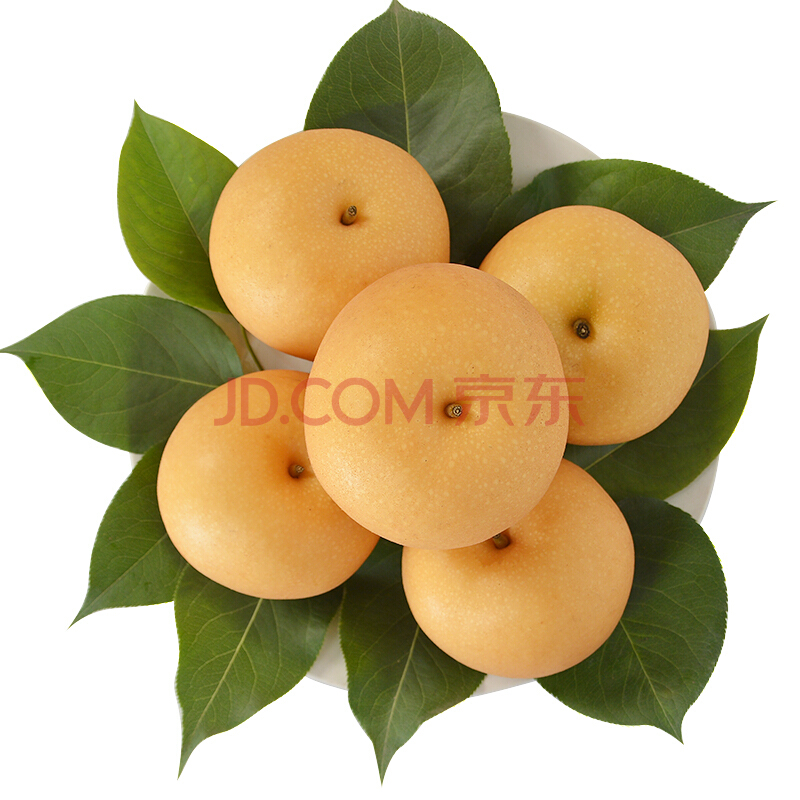 ������4-6��